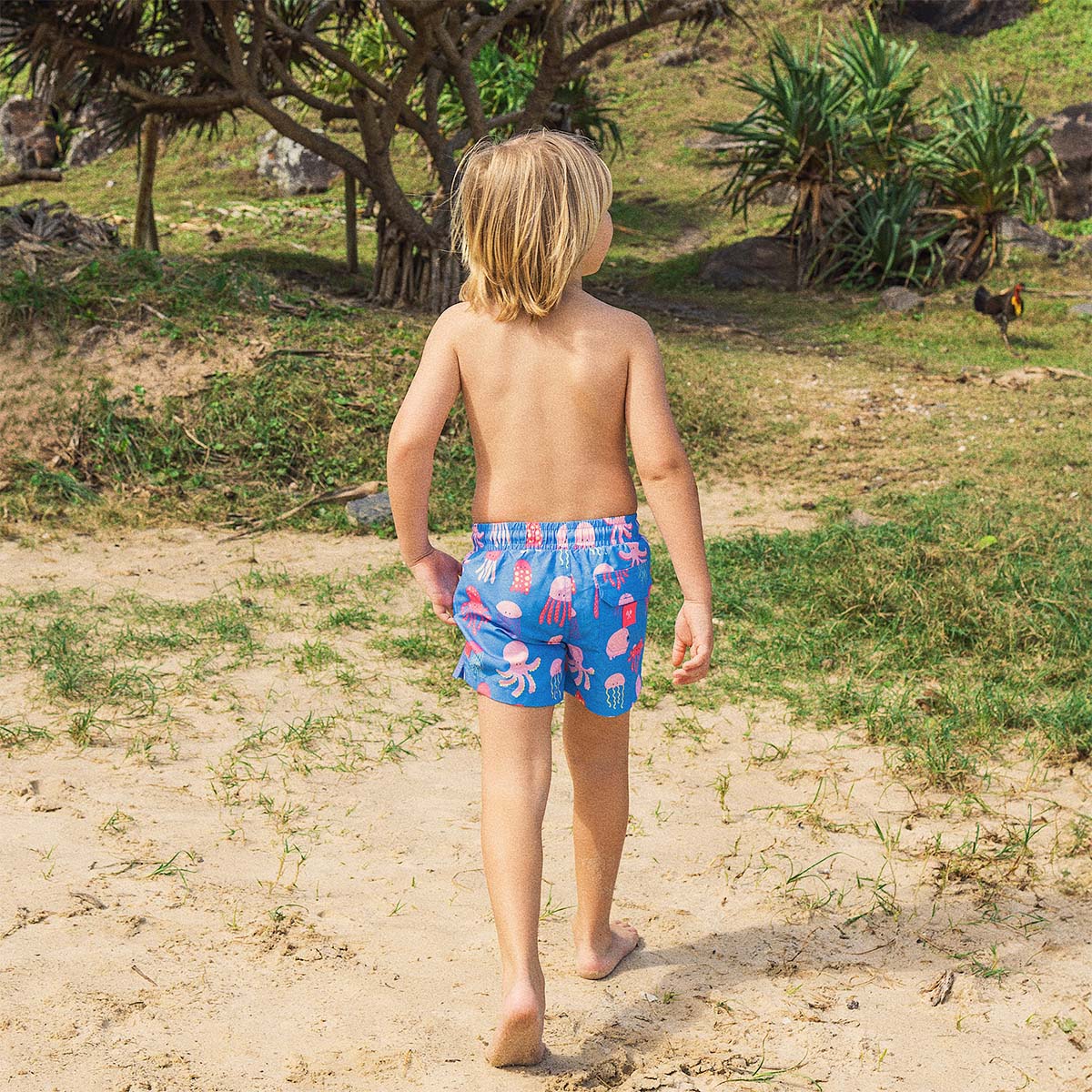 So Jelly Boys Swim Shorts in Royal Blue