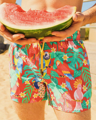 Bird Sanctuary Men's Eco Swim Shorts in Red