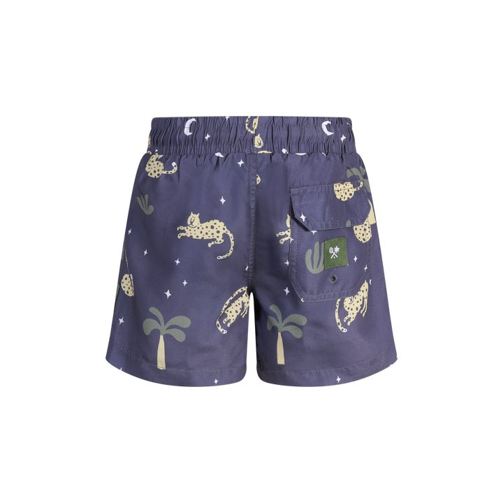 Leopard Nights Boys Swim Shorts in Charcoal