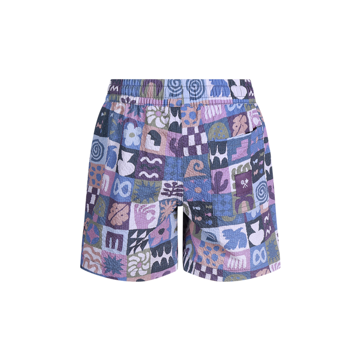 Island Oracle Boys Seersucker Everyday Shorts in Multi