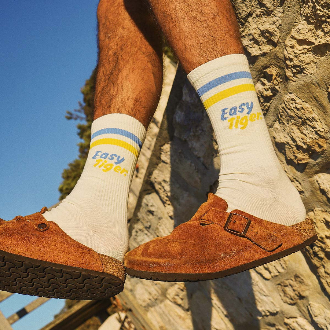 Easy Tiger Socks in Multi Stripe