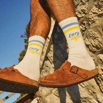Easy Tiger Socks in Multi Stripe